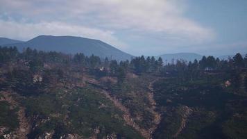 Majestic green mountain forest on fog background video