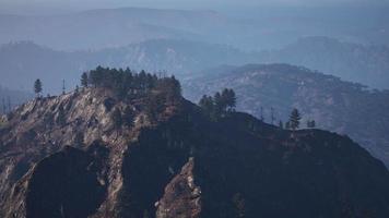 Majestic green mountain forest on fog background video