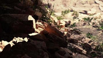 a vista dentro da caverna de fadas com plantas video