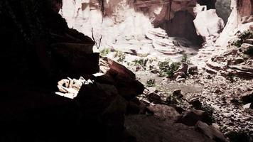 vue depuis l'intérieur d'une grotte sombre avec des plantes vertes et de la lumière à la sortie video