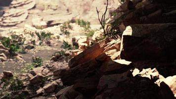 vue de la grotte à la lumière video