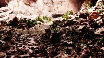 grotte dans un volcan éteint sur l'île video