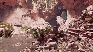 vista de dentro de uma caverna escura com plantas verdes e luz na saída video