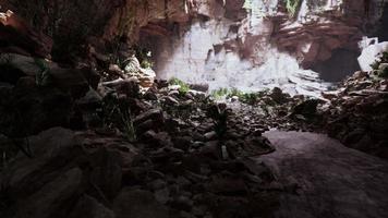 View from inside a dark cave with green plants and light on the exit video