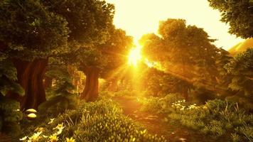 tecknad blommande grön skog på solnedgången video