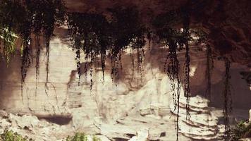 la vue à l'intérieur de la grotte des fées avec des plantes video