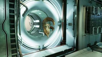 skull of dead ram in international space station video