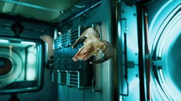 skull of dead ram in international space station video