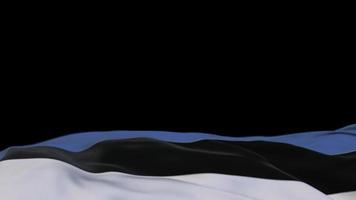 bandera de tela de estonia ondeando en el bucle de viento. pancarta de tela cosida con bordado estonio que se balancea con la brisa. fondo negro medio relleno. lugar para el texto. Bucle de 20 segundos. 4k video