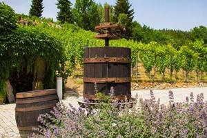 paisaje de viñedos en chez republic, jardín en praga en verano