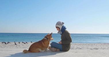 ung kvinna leker med corgi hund på havet stranden video