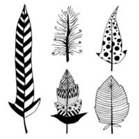 Vector set of vintage bird feathers. Beautiful icons with ornament isolated on white background. Black outline, silhouette of feathers in the style of doodle. Hand drawn