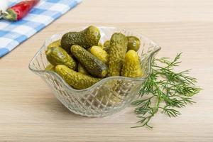 Marinated small cucumber photo