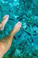 los peces muerden los pies en el agua cenote tajma ha mexico. foto