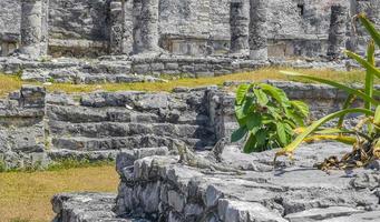 Ancient Tulum ruins Mayan site temple pyramids artifacts seascape Mexico. photo