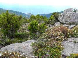 rocks in the mountains photo