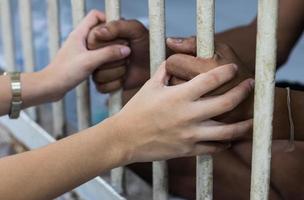 The hand of the wife held the cage near the prisoner husband. photo