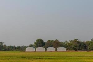 Empty white dome waiting for planting. photo