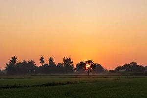 el sol de la mañana sale en el campo tailandés. foto