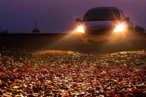 vista baja, hojas secas con faros de coche. foto