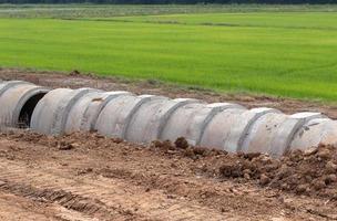 tubos de hormigón que se extienden en el suelo cerca de los campos de arroz verde. foto