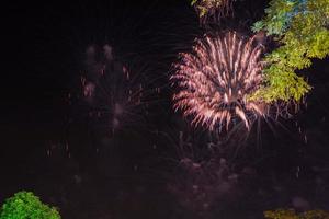 hermosas luces de fuegos artificiales sobre los árboles por la noche. foto