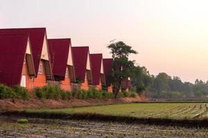 complejo de alojamiento familiar de techo rojo sobre campos de arroz.