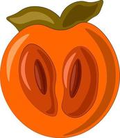 Drawn single fruit half persimmon in color vector