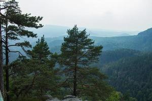 Landscape in mountains in Czech Switzerland national park, pine forest and rocks photo