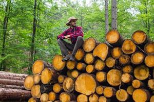 retrato de leñador en el bosque, muchos grandes troncos de pino en el fondo. joven excursionista masculino posando cerca de la harina de aserrín en el bosque de pinos. foto