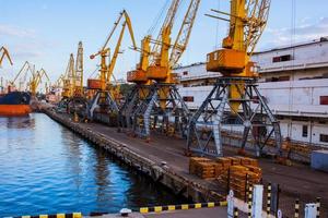 Big cargo terminal in sea port photo