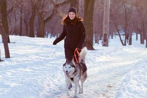 joven corredora entrenando en el parque de invierno con perro husky foto