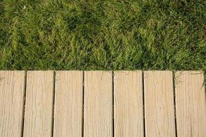 cerrar partes del diseño moderno de jardinería, plantas al aire libre en verano foto