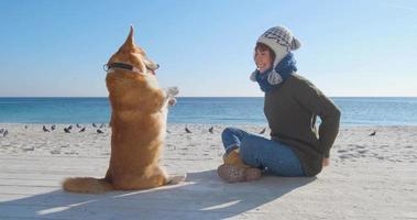 junge Frau spielt mit Corgi-Hund am Meeresstrand
