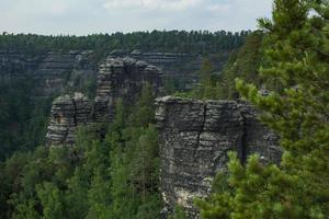 paisaje en las montañas en el parque nacional de Suiza Checa, bosque de pinos y rocas foto