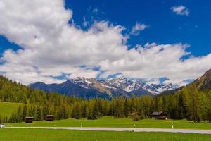 montañas de los alpes cubiertas de bosque de pinos, davos, graubuenden, sw foto