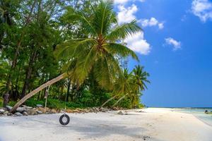 palma de coco con neumático oscilante, playa de malibu, isla de koh phangan foto