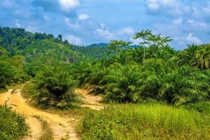 camino rural de barro en la selva, parque nacional khlong phanom, kapong foto