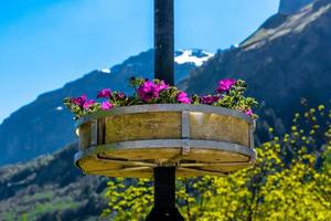 flores violetas en la columna con montañas alp en el fondo, foto