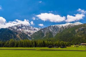 montañas de los alpes cubiertas de bosque de pinos, davos, graubuenden, sw foto