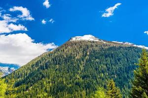 Alps Mountains covered with pine forest, Davos,  Graubuenden, Sw photo