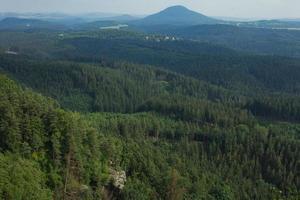 Landscape in mountains in Czech Switzerland national park, pine forest and rocks photo