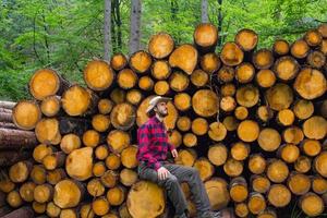 Portrait of lumberjack in forest, many big logs of pine on background. Young male hiker posing near the sawmeal in the pines forest. photo