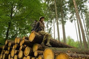 joven excursionista posando cerca de la harina de aserrín en el bosque de pinos. muchos troncos de árboles en el bosque. viajero mochilero mujer. foto