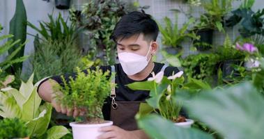 Portrait of a young asian male gardener planting a tree in the pot. Man in face mask holding spoon. Male planting a decorative plant in the house. Small tree into the new pot. Home greenery concept.