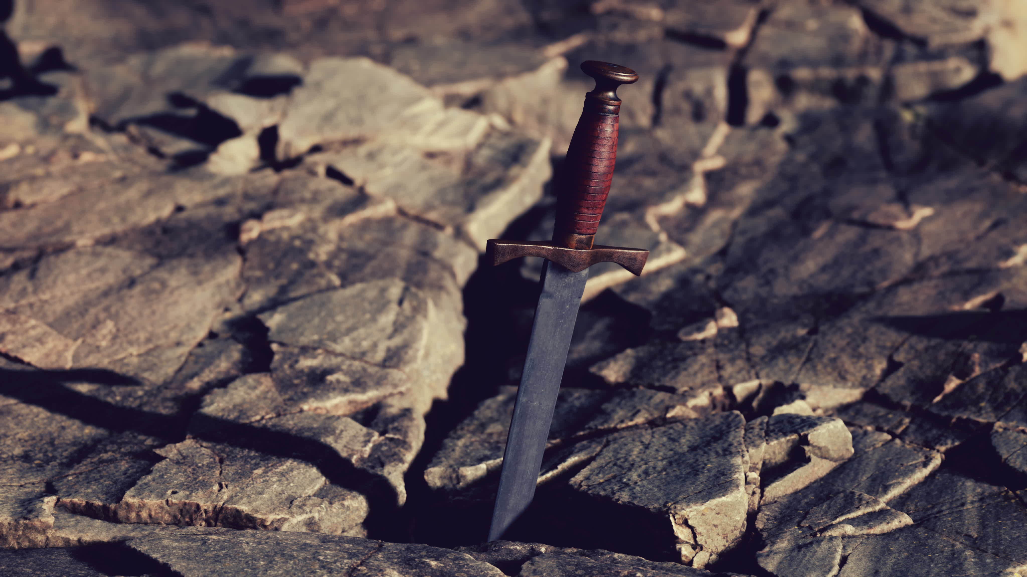 Sword Fight Stock Video Footage for Free Download