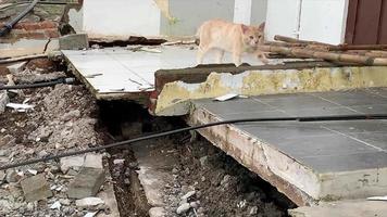 semarang, java central, indonesia, 2021 - una casa destruida por un deslizamiento de tierra