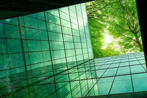 Eco-friendly building in the modern city. Green tree branches with leaves and sustainable glass building for reducing heat and carbon dioxide. Office building with green environment. Go green concept. photo