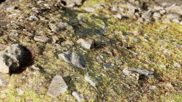 close up of rocky stones formation video