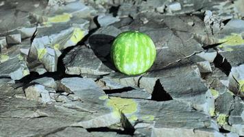 bacca di frutta anguria su pietre rocciose video